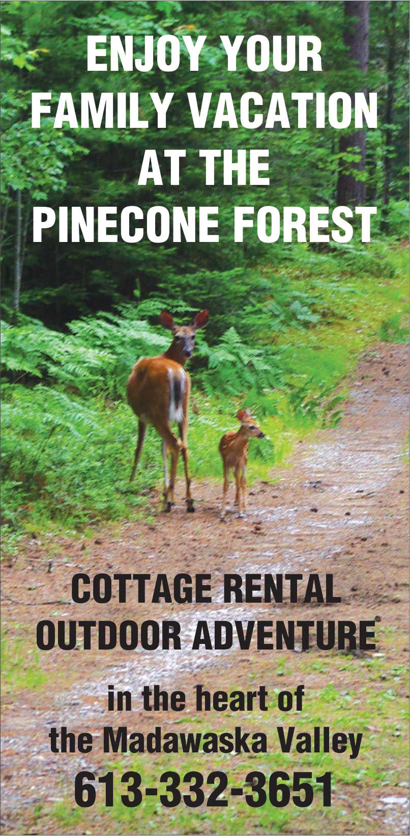 Enjoy Your Family Vacation at The Pinecone Forest--Cottage Rental, Outdoor Adventure